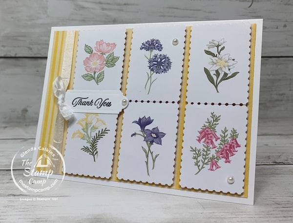 stamping techniques with the stamp camp sale-a-bration