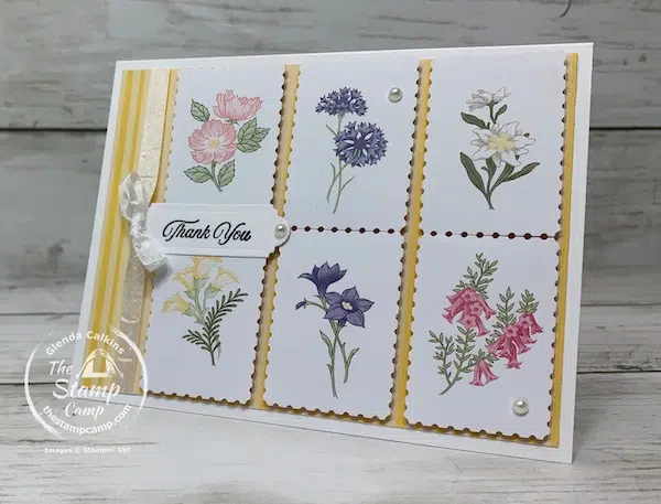 stamping techniques with the stamp camp sale-a-bration