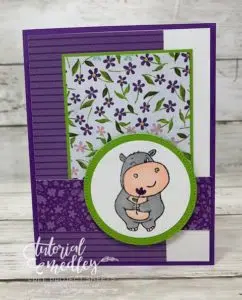 Hippiest Hippos Sale-a-bration Free Set Perfect For Birthdays!