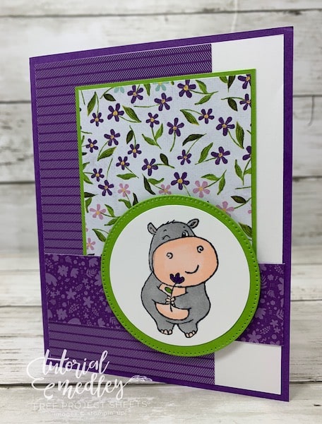 hippiest hippos sale-a-bration