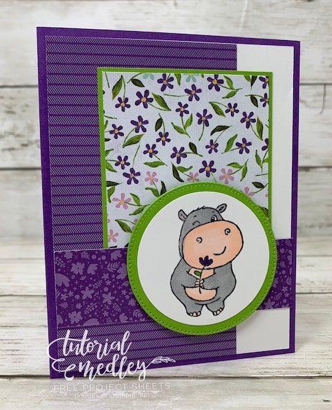 hippiest hippos sale-a-bration