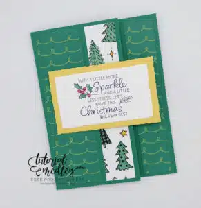 Saturday's Share Fun Fold Christmas Cards