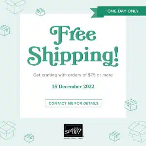 Free Shipping and Last Day To Get A Mystery Package