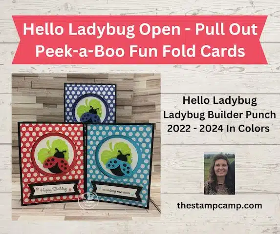 hello ladybug stamp set fun fold cards