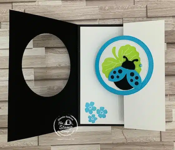 fun fold cards with the Hello Ladybug stamp set card ideas