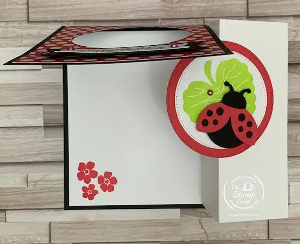 hello ladybug stamp set card ideas