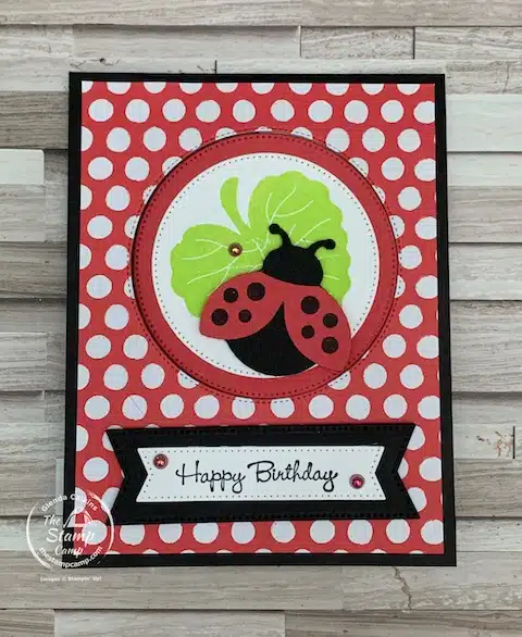 hello ladybug stamp set card ideas
