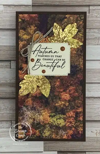 designer series paper fall themed cards