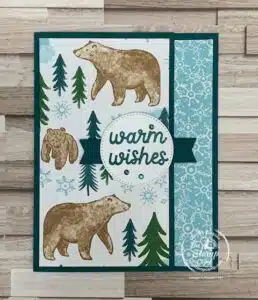 Simple Fun Fold Cards With A Walk In The Forest Paper