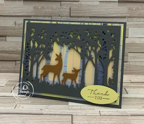 simple card with designer series paper