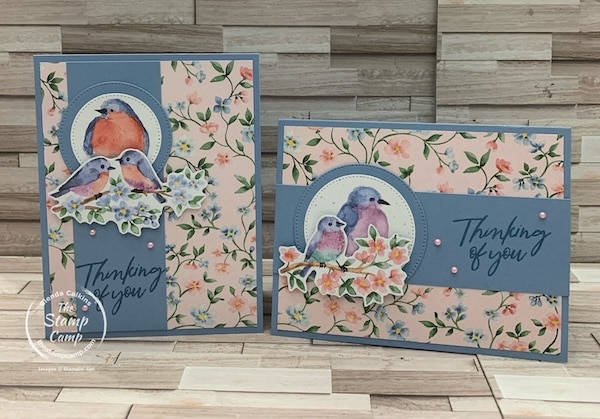 sale-a-bration paper pack