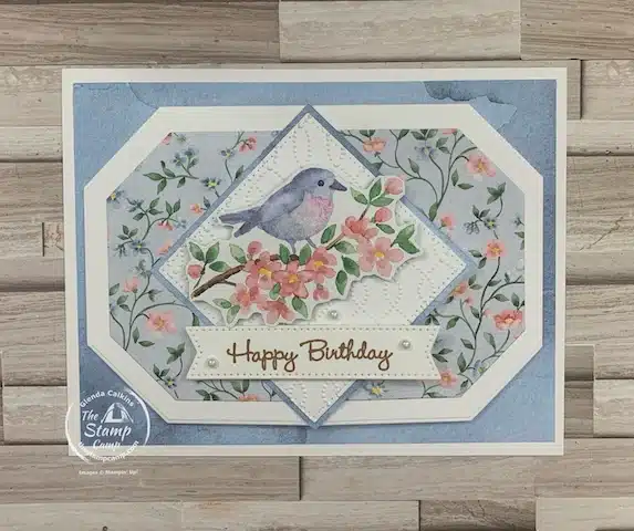 fun fold cards with sale-a-bration designer series paper