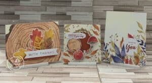 The September Paper Pumpkin Kit is Full of Fall Themed Cards