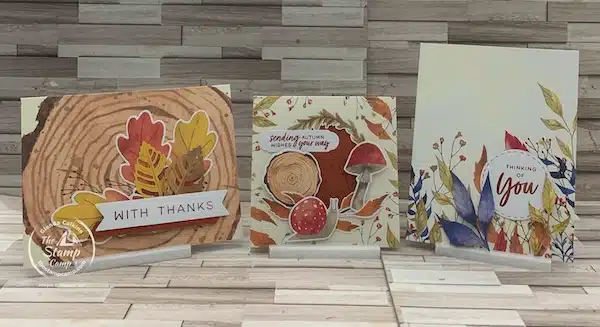 fall themed cards with the Paper Pumpkin kit