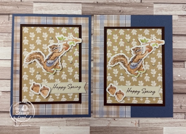 one sheet wonder cards with designer series paper