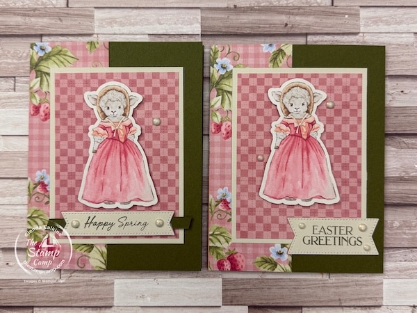 one sheet wonder cards with designer series paper