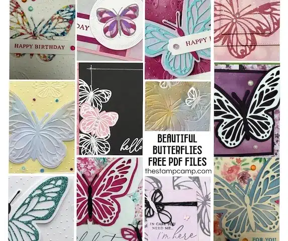 Beautiful Butterflies customer appreciation for May 2025