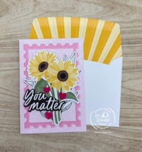 share a smile kits collection