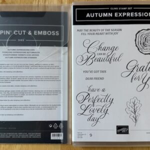 Retired Stampin' Up! Autumn Expressions bundle