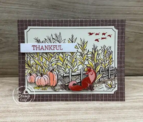 easy to follow card kits with stampin up paper pumpkin kits