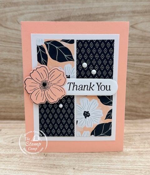 beginner stamping card ideas with card sketches from the stamp camp