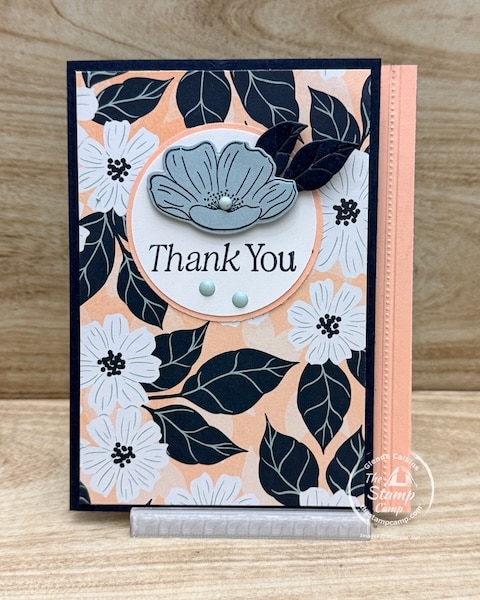 creative one sheet wonder ideas from the stamp camp